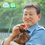 뼈에좋은 밀크 칼슘 마그네슘 비타민D 영양제 자연유래 천연 무부형제 칼슘제 : 리치부엉이