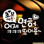 글씨시트지 자동차 차량 용 초보 어제면허땄어용 문구 화이트 말풍선 반사 스티커 시트지 : 세연몰