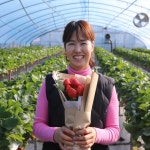 [베리해피]통영 설향딸기 홍희딸기 800gx1팩(24구,30구,35구 랜덤) : 통영 베리해피농장