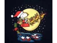 유화그리기 세트 스누피 피너츠 찰리 크리스마스 눈 트리 루돌프 산타 아이러브페인팅 캔버스 액자 프레임포함 그림 포스터 G0078 : 포에버16