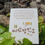 [씨앗발전소] 100% 국산 잡곡 단품 (50g x 5포) : 예천군농촌활력지원센터