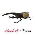 소타 1:1 헤라클레스 01 황갈색 175mm 장수풍뎅이 피규어 가챠 굿즈 캡슐토이 : 용더쿠