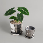 데팡스 인테리어화분 누아누아팟 분갈이 플라스틱 저면관수 화분 10호 : 데팡스 홈가드닝 종합쇼핑몰