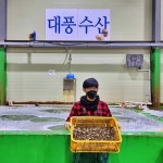 대풍수산 국산 동결건조 조갯살 황금바지락살 6g x 3팩 : 고창 마켓