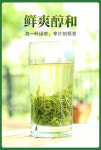 [1-82] 우화차 황주 남경녹차 우전 산차 대용량 125g x 2 by 고순청산차창 : 운남상회 티다차이