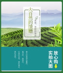 [1-82] 우화차 황주 남경녹차 우전 산차 대용량 125g x 2 by 고순청산차창 : 운남상회 티다차이