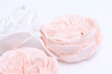 꽃몰드 일글리쉬로즈 1 플라워실리콘몰드 석고 비누 캔들만들기 : 별님아씨