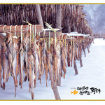 대관령 눈마을 황태 영농조합법인 먹태 채 200g : BLITZ
