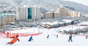 홍천 대명 비발디파크 스키장 렌탈샵 리프트권 장비 렌탈 대여 스키보드 강습 리프트 패키지 : 비발디파크 넘버원 렌탈샵