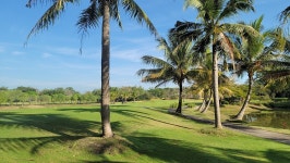 동남아골프 / 스카이밸리cc / 태국골프패키지 / 해외골프여행 : 자이언트 골프여행