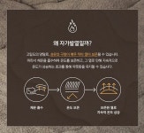부드러운 양털이불 자가 발열 따뜻한 덮는이불 포근한 두꺼운 겨울이불 : 쵸리네 스토어