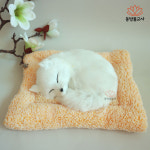 잠자는 여우 인형 장식품 차량장식 테이블장식품 : 동방불교사