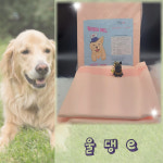 울댕이패드 강아지 대형견 대형 애견 배변패드 90X100 울트라 특대형, 20매입, 1개 : 올 커머스