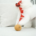 강아지 노즈워크 장난감 호두과자 분리불안 훈련 : 펫베오