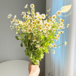 정아네식탁 마트리카리아 한단, 생화 꽃다발 택배 꽃배달싼곳 : 정아네식탁