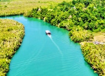보홀 마지막날 체크아웃 나이트투어 육상투어+반딧불,판타지쇼,자유시간+마사지 초콜릿힐 공항 : NOLDA