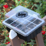 12구 모종 파종 트레이 미니 온실 배양실 보온 상자 육묘판 다육이 주말농장 : 전동차부품 고스