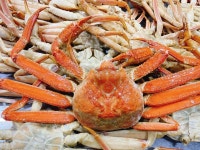 러시아 박달대게 자숙 대게 찜 택배 배달 1kg : 거천푸드