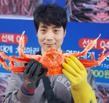 [선주직송] 대게 홍게 박달 자숙 영덕 수율보장 2kg : 영남수산 영남지역 대표수산