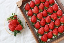 설향 딸기 금실딸기 산청 논산 비타베리 킹스베리 장희 여름딸기 : 신선과일 쌈바팜