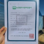 [한편농원 ] 산지직송 설향 딸기 GAP인증 30구 800g - 9~11brix : 민생상회