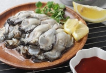 경남 통영 생굴(알굴) 1kg 2kg : 더맛있는날