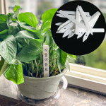 화분 식물 이름표 가든픽 흰색 큰사이즈 15cm 1p : 청양 삼인농장