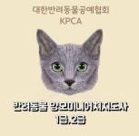 반려동물 양모미니어쳐지도사 2급 (부가세포함) : 아트펫공방