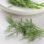 딜 허브 10g : 팜에이트