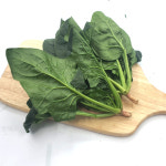 싱싱한 시금치 4kg(3.8~4kg)박스 : 채소플러스