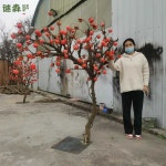 가짜 감나무 모형 인조 트리 홍시 대봉감 정원 꾸미기 : 직구허슬러