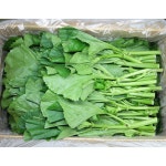 아욱 1Kg : 이강산닷컴