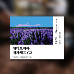 향미가 좋은 에티오피아 예가체프 200g 고급 원두 싱글 오리진 하라커피 : 하라커피