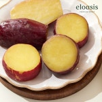 바로먹는고구마 찐고구마 다이어트 식사대용 실온 보관 간편 간식 120g, 20개 : 엘로아시스