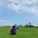 연날리기 연만들기 대형연 Weifang신제품 피트니스 연 바오터우 독수리 프론트 스트럿 브리즈 비행하기 쉬운 16 M 과수원 조류 구충제... 