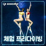 프리다이빙 체험 강습 전국 서울 잠실 수원 : 고고다이브 스쿠버프리다이빙