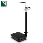 기계 전자 키재기 검사 약국 저울 신장 : 엑시트레이더