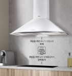 하츠 인덕션3구 전기쿡탑 빌트인 전기레인지 IH-3603TTL 매립형 : 퀸즈키친