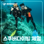 성남 체험 스킨스쿠버다이빙 강습 고고다이브 용인 : 고고다이브 스쿠버프리다이빙