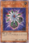 그로우업벌브 (SYP1-KR096) QC Secret Rare 한글판 유희왕 : TCG마트