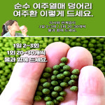 식물 여주 전문 옹달샘농장 여주 환 300g : 옹달샘농장2019