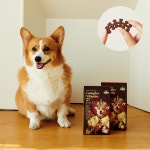 [온누리약국개발] 더폴슨 강아지 종합 영양제 2BOX 영양 간식 애견 노견 노령견 관절 심장 비타민 반려견 영양제 : 온누리Store