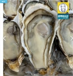 테마수산 통영 석화 제철 생굴 하프셀 각굴 캠핑 조개구이 : 테마수산