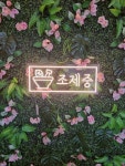 조제중 네온사인 주문제작 개업선물 아트네온 글씨조명 실내간판 네온조명 : Theblue