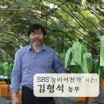 키울 20브릭스 초고당도 샤인머스켓 실속형 2kg 프리미엄 3kg 4kg 산지직송 : 자이언트콩