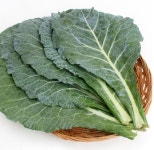 BRM연구소 무농약 케일 750g : 건강한가족농원