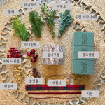 크리스마스 생화 트리 만들기 DIY 키트(홈클래스 영상 제공) : 때때로꽃집