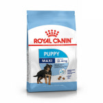 로얄캐닌 독 맥시 퍼피 (Maxi puppy) 10kg - 대형견 강아지 사료 : 윌리펫