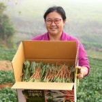 고창 선향농장 고들빼기 황토 생고들빼기 1kg : 고창 마켓