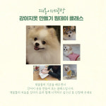 강아지 옷 만들기 재봉틀 원데이클래스 : 재봉이네공방